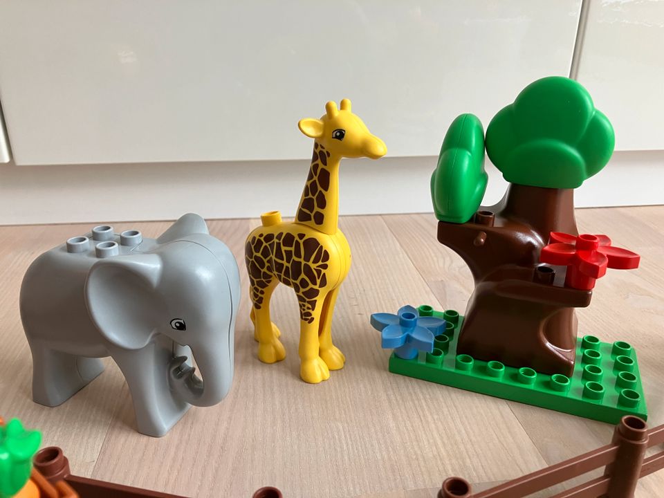 LEGO® DUPLO®  Zoo Starter Set Tiere 5634 in Langenzenn