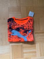 PUMA Herren T-Shirt Gr. L BRANDNEU Düsseldorf - Bilk Vorschau