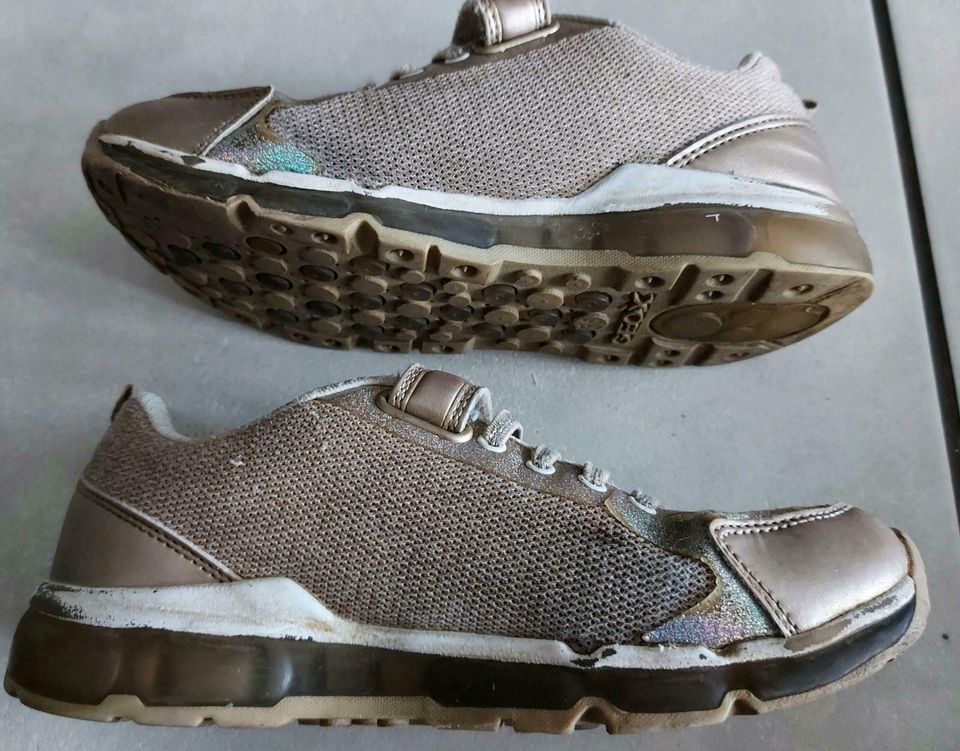 Schöne Turnschuhe Gr.  36 metallic Paar ab € 7,00 Geox, in Rendsburg