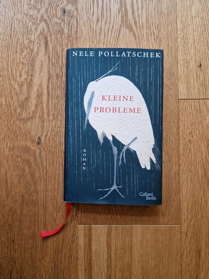 Buch Kleine Probleme Pollatschek 978-3-86971-240-6 in Schwerin