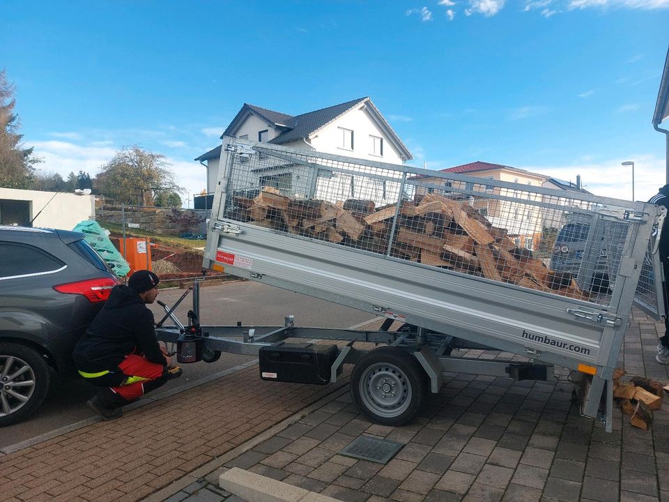 Brennholz Kaminholz Buche  Schüttmeter  110€ in Althengstett