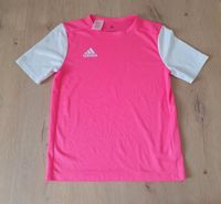 Adidas Mädchen Shirt Größe 164 T-Shirt Sport Pink Sportshirt Baden-Württemberg - Laupheim Vorschau