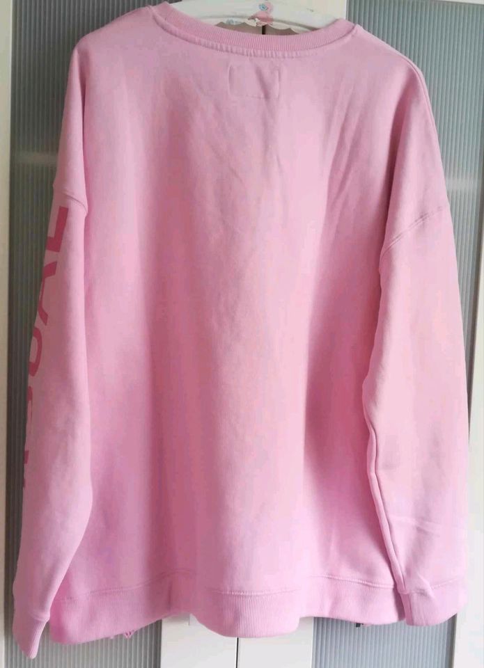 Sweatshirt XL+XXL, NEU, Gina Benotti Hoodie Pullover Gr. Größe in Netzschkau