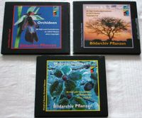 3 CD's - Bilder von Pflanzen usw. CMYK - Copyright frei - DTP Brandenburg - Cottbus Vorschau