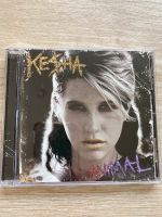 Kesha, Animal Niedersachsen - Celle Vorschau