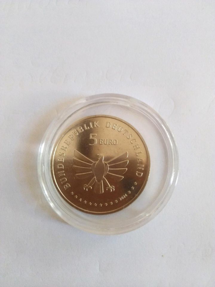 5 EURO Münzen, Wunderwelt Insekten, 5 Stück, BRD in Achern