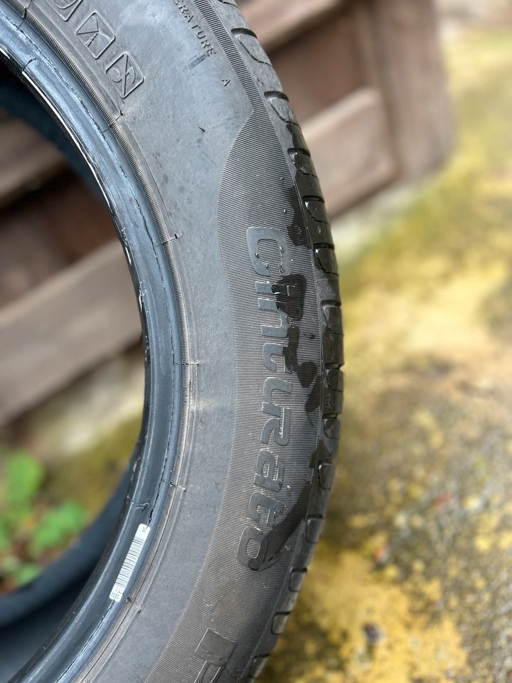 4 Sommerreifen Pirelli R17 215/55 in Bismark (Altmark)