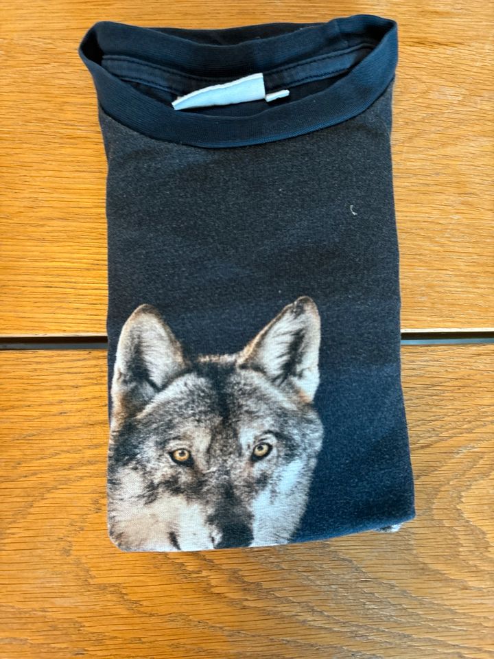 MOLO Wolf Shirt 128 in Halver