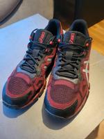 ASICS Gel-Quantum 360 6 in US 11,5  Eu46 Niedersachsen - Göhrde Vorschau