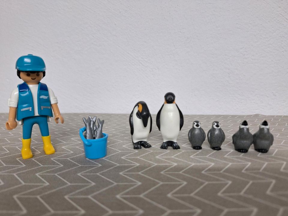 Playmobil Pinguinbecken in Schüller