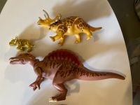 Playmobil Dino Dinosaurier Schleswig-Holstein - Nortorf Vorschau