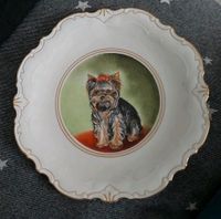 Yorkshire Terrier Dekoteller Nordrhein-Westfalen - Oberhausen Vorschau