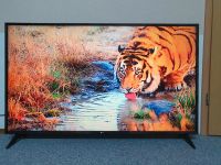Fernsehe  Von LG  65Zoll 164cm  Smart TV  WLAN  4K Ultra HD Osternienburger Land - Wulfen Vorschau
