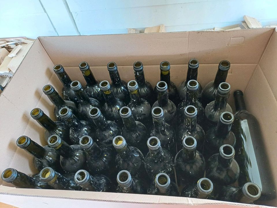 Flaschen 77 Stk. grün als Kerzenständer für Hochzeit etc. in Rietberg