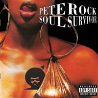 Pete Rock – Soul Survivor   2 x Clear Vinyl, LP, Album Friedrichshain-Kreuzberg - Kreuzberg Vorschau