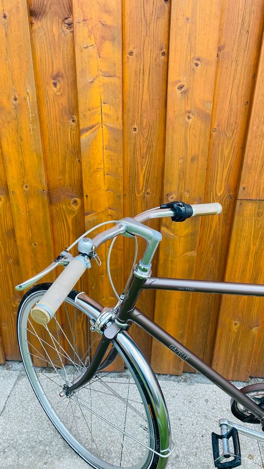 Gazelle van Stael 54cm Fahrrad Herren kein Ebike in Oldenburg
