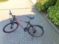 Mountainbike Gr. 36 ,FOCUS Nordrhein-Westfalen - Lindlar Vorschau