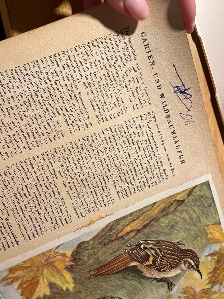 Heft Buch Zeitschrift Unsere Vogelwelt Berliner Morgenpost 1959 in Berlin