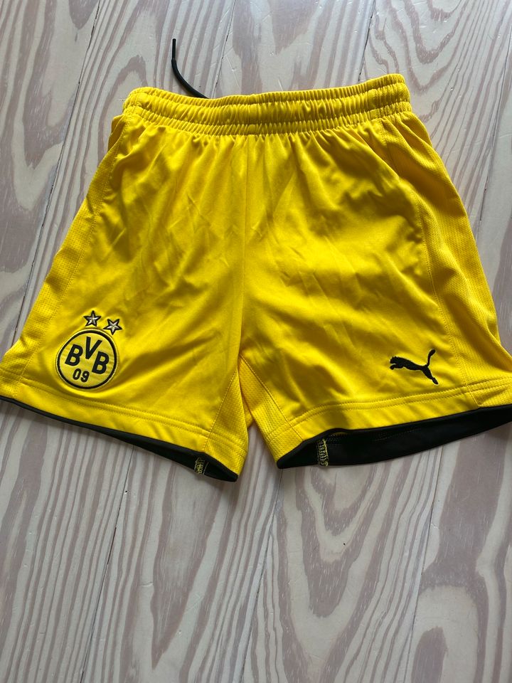 BVB Fußballhose Kinder Größe 140/ 10 Jahre in Hamburg