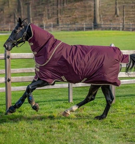 Reduziert Horseware Regendecke Hero + Halsteil UVP113,95 jetzt 89.-€ robust 600Den ripstop,atmungsaktiv, wasserdicht, winddicht, Kreuzbegurtung, Neuware 125, 130, 140, 145, 155, 160 ABVERKAUFT in Kempen