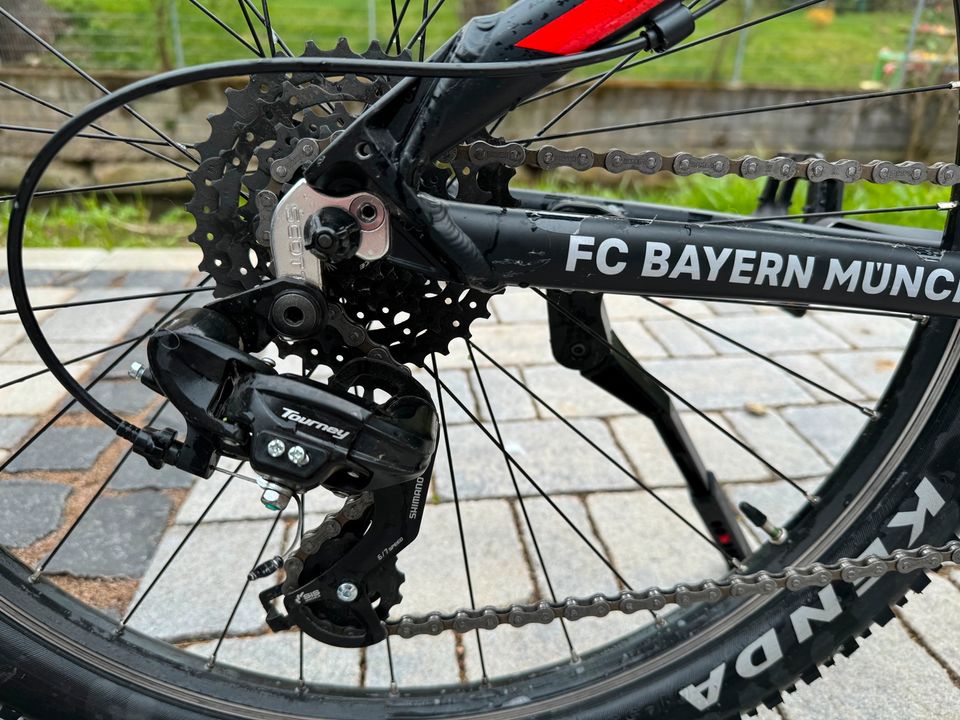Mountainbike 26er Scott Roxter FC Bayern Rahmen XS in Erfurt