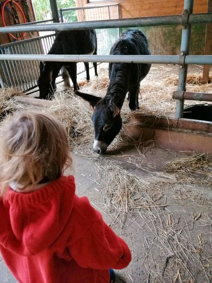 Kindertagespflege Kleine Abenteuerbande / Tagesmutter in Gengenbach