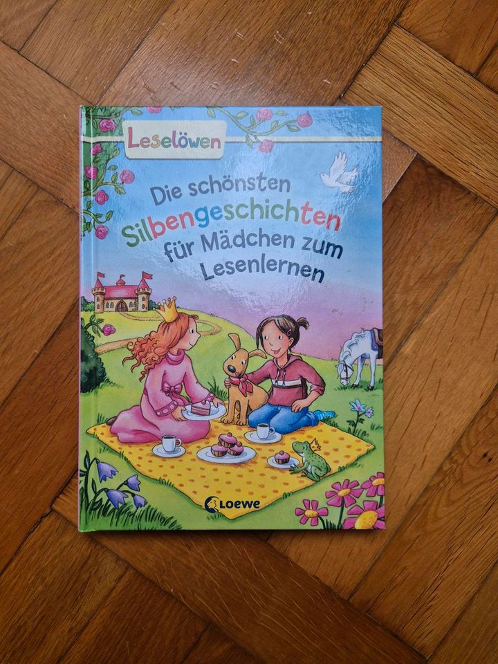 Leselöwen die schönsten silbengeschichten für Mädchen zum Lesen in Herrieden