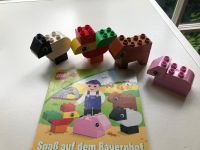 Lego Duplo Spaß auf dem Bauernhof Buch Kuh Schaf Schwein Hahn Niedersachsen - Visselhövede Vorschau