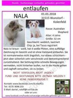 NALA vermisst Niedersachsen - Vechelde Vorschau