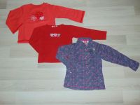 2x Langarm-Shirt / 1x Bluse von ministars Gr. 116 / 122 Hessen - Reichelsheim (Wetterau) Vorschau