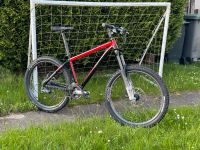 26 Zoll MTB Freeride Hardtail Dartmoor Primal 150mm Baden-Württemberg - Sindelfingen Vorschau