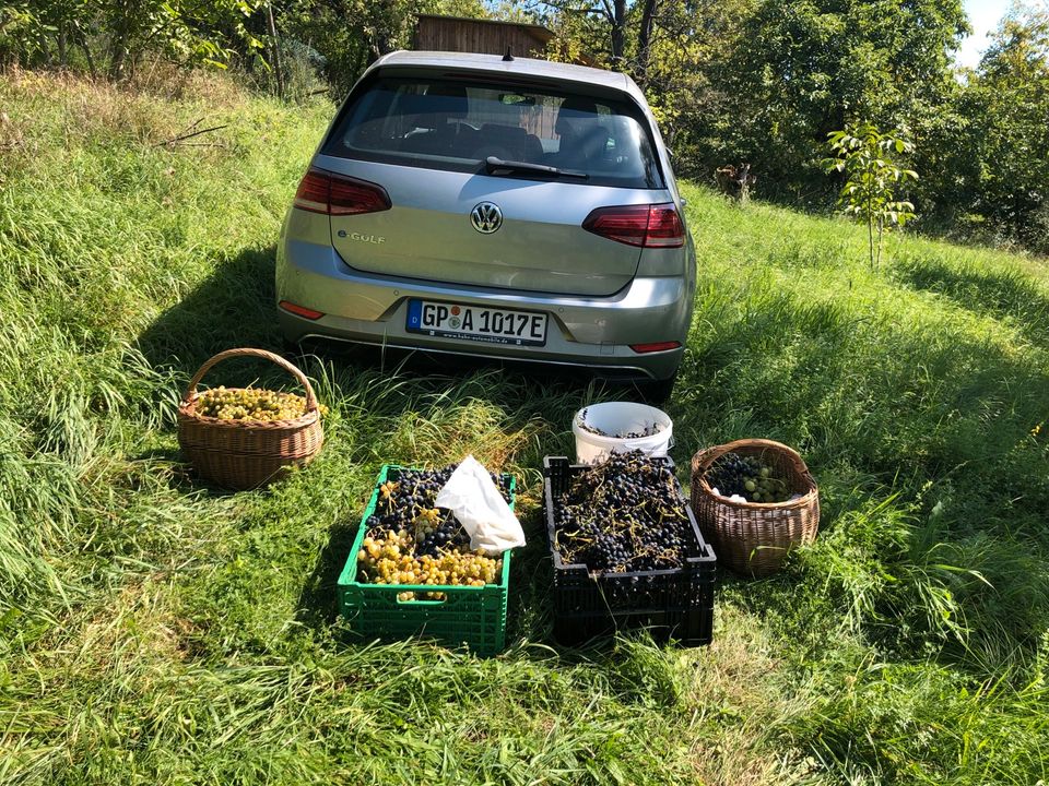 Grundstück Gartengrundstück zwischen Schorndorf und Winterbach in Göppingen