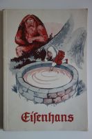 Original altes  Märchen Buch, Eisenhans, 1960, Gebrüder Grimm Hessen - Gelnhausen Vorschau