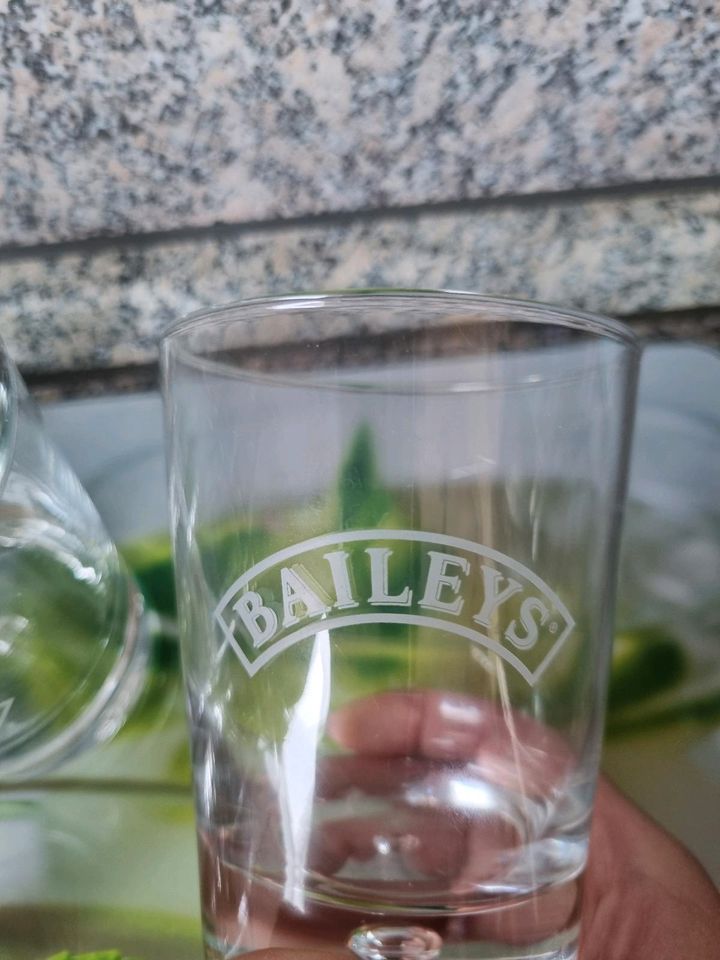 Baileys Gläser in Selsingen