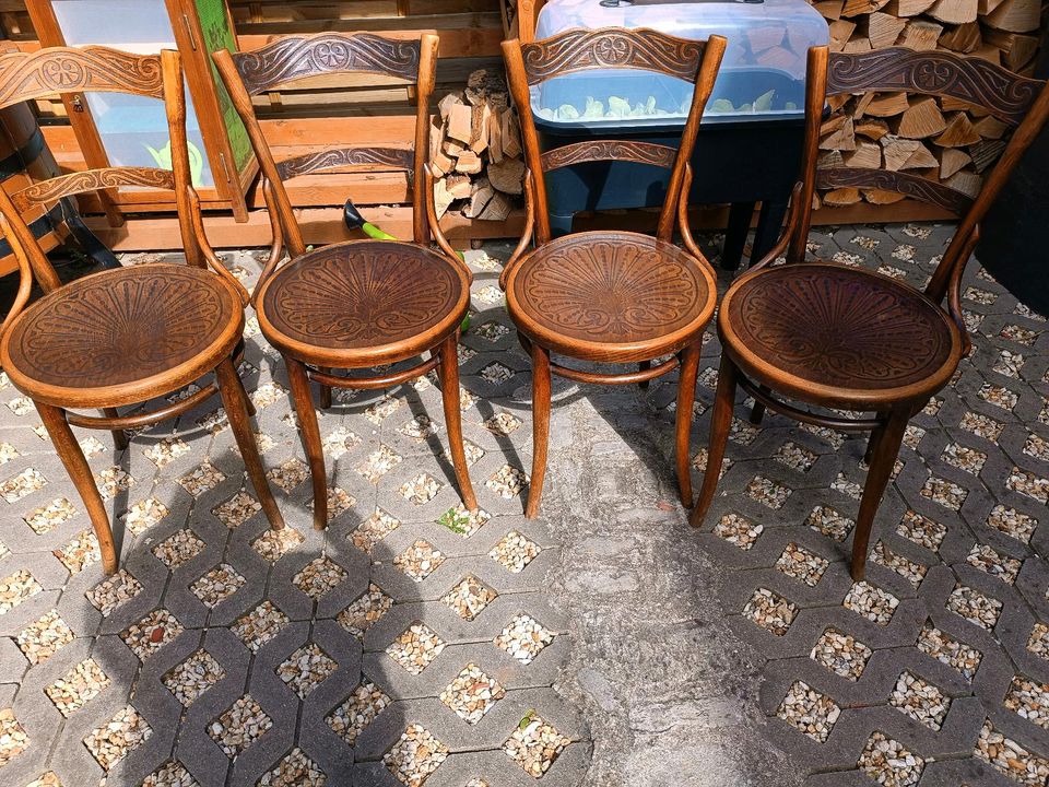 Wiener Kaffeehaus Stühle in Ichtershausen