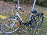 Torrek CTB Fahrrad Citybike 28er Bielefeld - Senne Vorschau