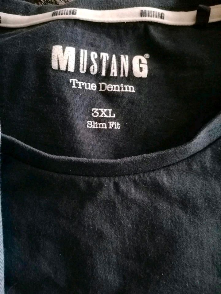 Mustang T-Shirt Farbe blau in Bretzfeld