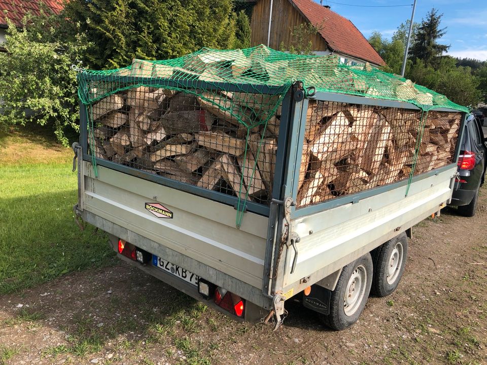 Brennholz Kaminholz Fichte 33 cm trocken Holz in Neu Ulm