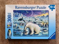 Ravensburger: Puzzle mit 300 Teilen - Tiere der Polarregion Niedersachsen - Braunschweig Vorschau