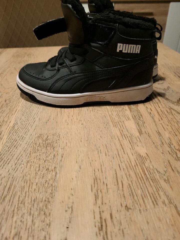 ÜBERGANGS ;-) Schuhe  von  Puma in Bernau