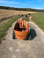 Babboe Flow Mountain Lastenrad mit nur 155km und Garantie! Rheinland-Pfalz - Kirchberg (Hunsrück) Vorschau