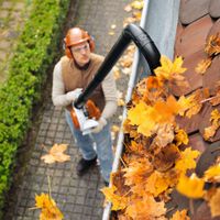 Mieten Leihen Stihl BG HS 86 mit DACHRINNENREINIGUNG Set Rheinland-Pfalz - Kirn Vorschau