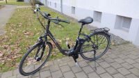 Rixe E-Bike, 50cm Rahmen, 28 Zoll, Derby Cycle 17AH Akku Nordrhein-Westfalen - Voerde (Niederrhein) Vorschau