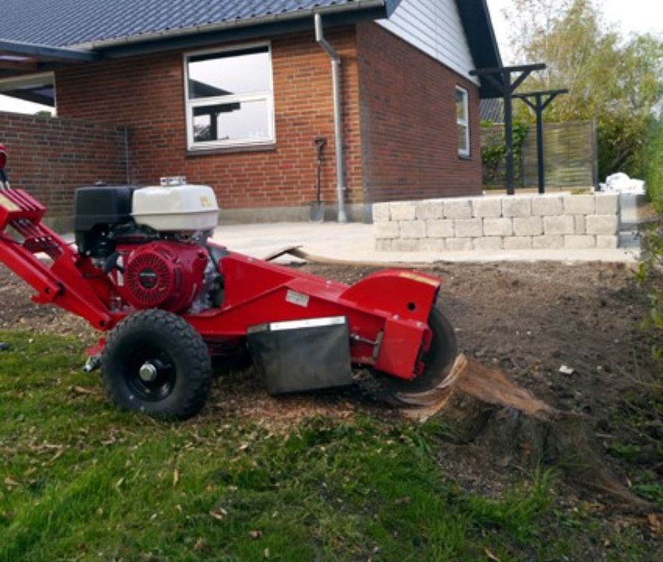 Wurzelfräsen Stubbenfräsen Wurzelstockfräsen Baumstumpffräsen in Wilkau-Haßlau