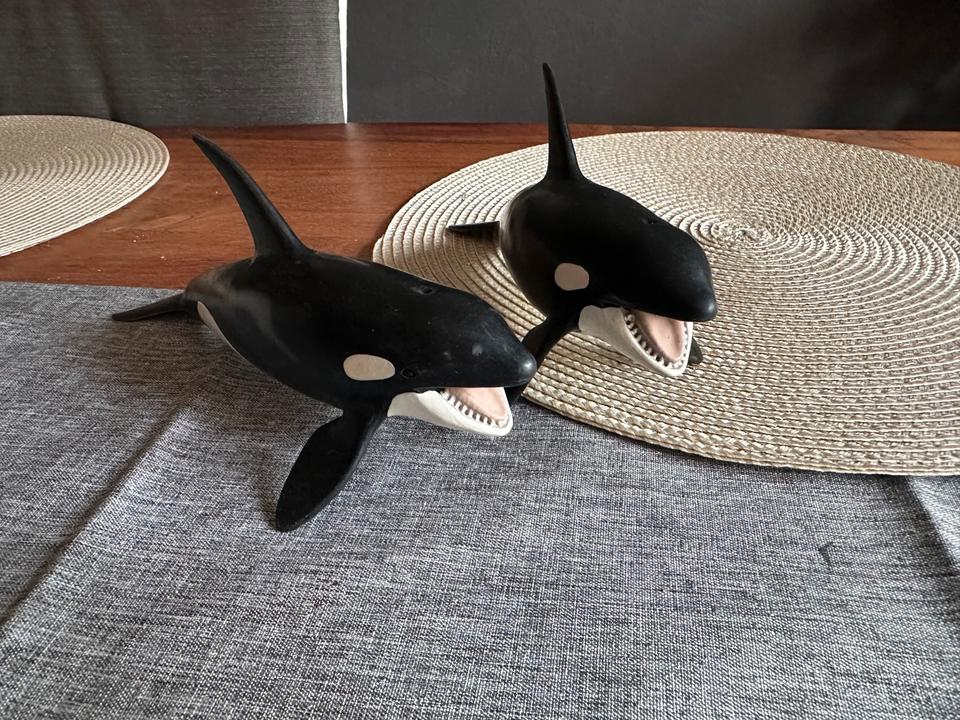 Schleich Figuren Meerestiere Orca, Schildkröte, Rochen, Seelöwe in Scharbeutz