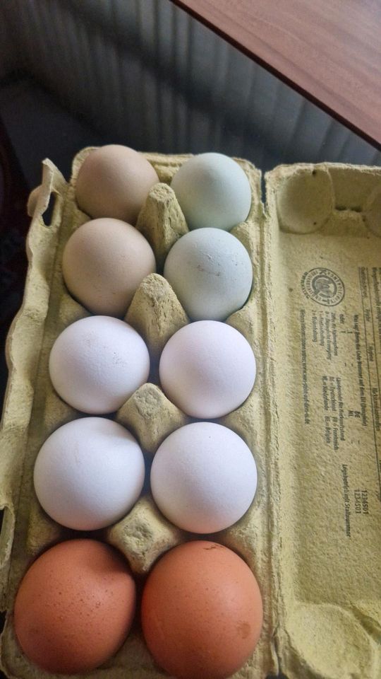 Täglich frische Eier. in Wilhelmsburg