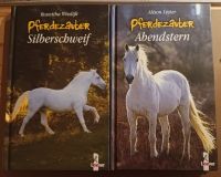 Pferdezauber: Abendstern & Silberschweif Kinderbücher Niedersachsen - Osnabrück Vorschau