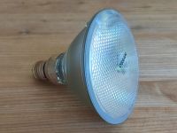 Osram 64837 Halogen Wandsbek - Hamburg Sasel Vorschau