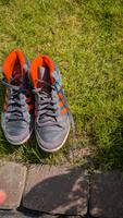 Adidas Sneaker Sportschuhe Basketball Nordrhein-Westfalen - Selm Vorschau