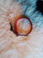 Hundehalsband, Leder, schwarz-rot, 50 cm Nur Abholen gegen bar Niedersachsen - Bad Harzburg Vorschau